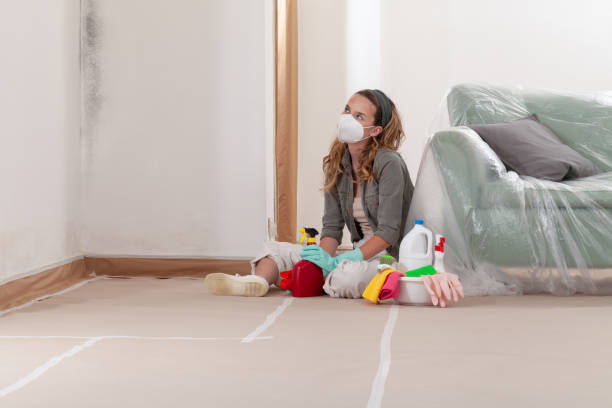 Reliable Commercial Mold Remediation contractor in West Orange, NJ by Car Mold Remediation